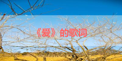 《爱》的歌词 