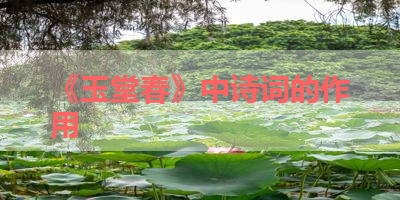 《玉堂春》中诗词的作用 