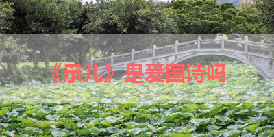 《示儿》是爱国诗吗 