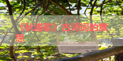 《秋浦歌》古诗词的意思 