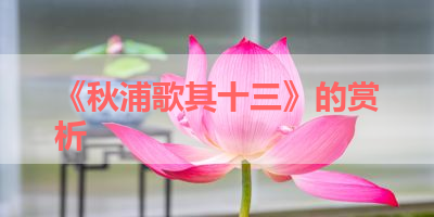 《秋浦歌其十三》的赏析 