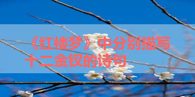 《红楼梦》中分别描写十二金钗的诗句 