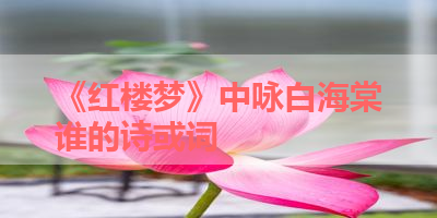 《红楼梦》中咏白海棠谁的诗或词 