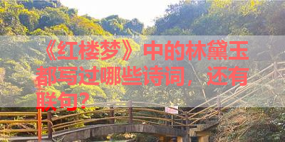 《红楼梦》中的林黛玉都写过哪些诗词，还有联句？ 