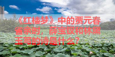 《红楼梦》中的贾元春省亲时，薛宝钗和林黛玉写的诗是什么？ 