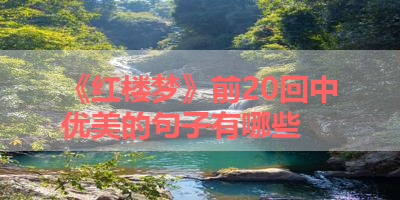 《红楼梦》前20回中优美的句子有哪些 