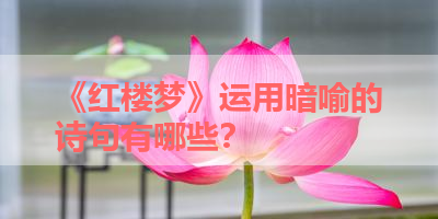 《红楼梦》运用暗喻的诗句有哪些？ 