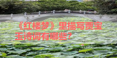 《红楼梦》里描写贾宝玉诗词有哪些？ 