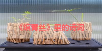 《绾青丝》里的诗词 