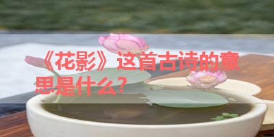 《花影》这首古诗的意思是什么？ 