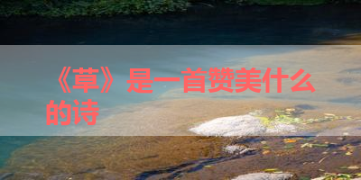 《草》是一首赞美什么的诗 