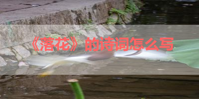 《落花》的诗词怎么写 