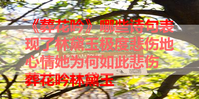 《葬花吟》哪些诗句表现了林黛玉极度悲伤地心情她为何如此悲伤 葬花吟林黛玉
