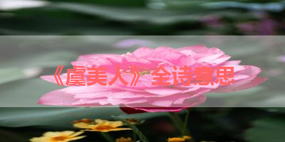 《虞美人》全诗意思 