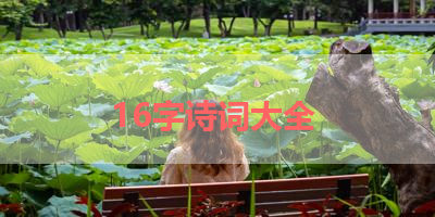 16字诗词大全 