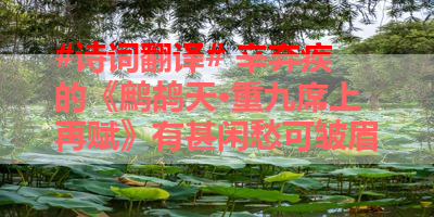 #诗词翻译# 辛弃疾的《鹧鸪天·重九席上再赋》有甚闲愁可皱眉 