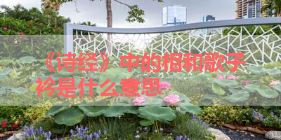 《诗经》中的相和歌子衿是什么意思 