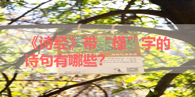 《诗经》带“槿”字的诗句有哪些？ 