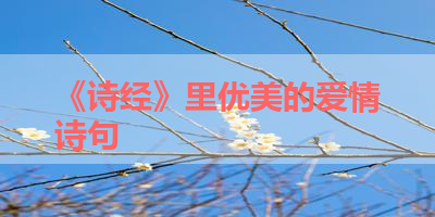 《诗经》里优美的爱情诗句 