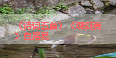 《诗词五首》《观刹麦》白居易 