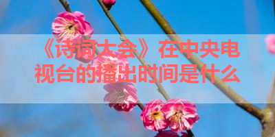 《诗词大会》在中央电视台的播出时间是什么 