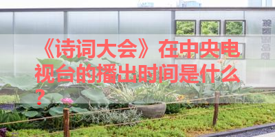 《诗词大会》在中央电视台的播出时间是什么？ 