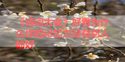 《诗词大会》好看为什么你的记忆力没有别人的好 