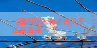 《请原谅》有木有关于这首古诗 