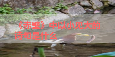 《赤壁》中以小见大的诗句是什么 