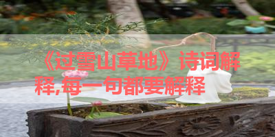 《过雪山草地》诗词解释,每一句都要解释 