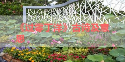 《过零丁洋》古诗及意思 