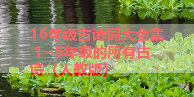 16年级古诗词大全集 1~6年级的所有古诗（人教版） 