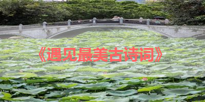 《遇见最美古诗词》 