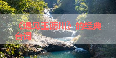 《遇见王沥川》的经典台词 