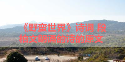 《野蛮世界》诗词 段柏文朗诵的诗的原文