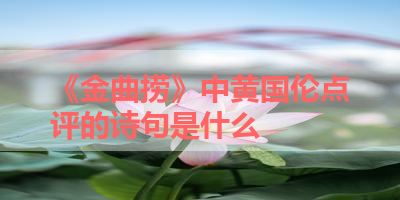 《金曲捞》中黄国伦点评的诗句是什么 