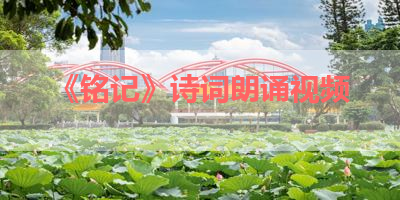 《铭记》诗词朗诵视频 
