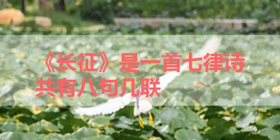 《长征》是一首七律诗共有八句几联 