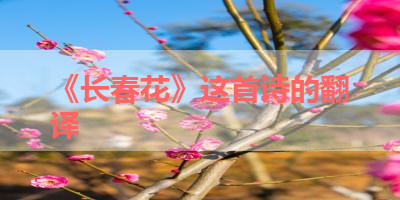 《长春花》这首诗的翻译 