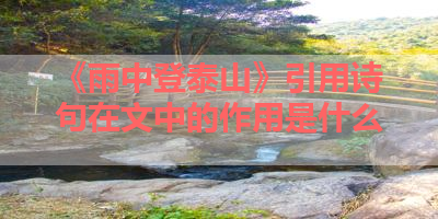 《雨中登泰山》引用诗句在文中的作用是什么 