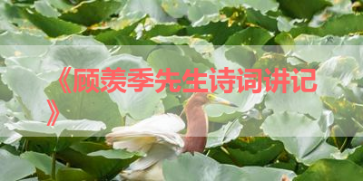 《顾羡季先生诗词讲记》 