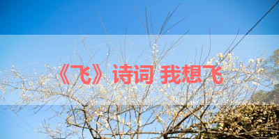 《飞》诗词 我想飞 