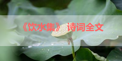《饮水集》 诗词全文 