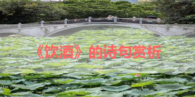 《饮酒》的诗句赏析 