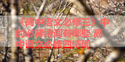 《高中语文必修三》中的必背诗词有哪些 高中语文必修四诗词
