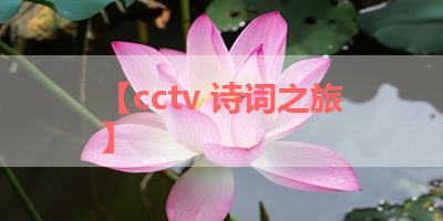 【cctv 诗词之旅】 