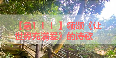 【急！！！】领颂《让世界充满爱》的诗歌 