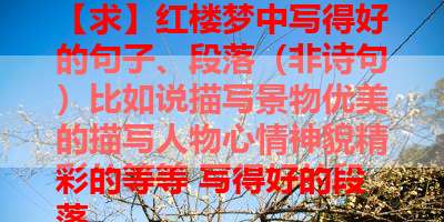 【求】红楼梦中写得好的句子、段落（非诗句）比如说描写景物优美的描写人物心情神貌精彩的等等 写得好的段落