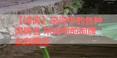 【诗词】宋词中的各种词牌名 宋词中的词牌名有哪些