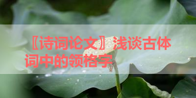 〖诗词论文〗浅谈古体词中的领格字 